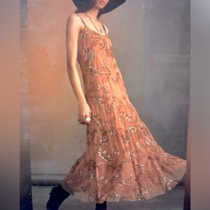 Anthropologie Sequin Tulle Maxi Dress in Excellent Condition size Small